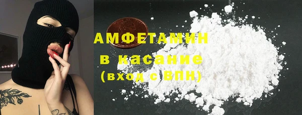 твердый Новозыбков