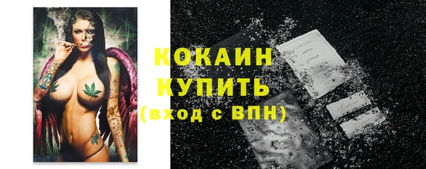 тгк Алексин