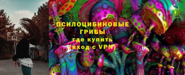 тгк Алексин
