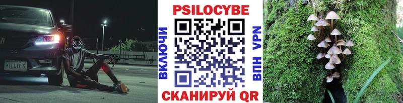 даркнет сайт  Катайск  Галлюциногенные грибы Psilocybe 
