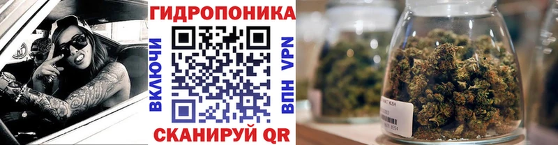 Шишки марихуана Amnesia  где продают   Катайск 